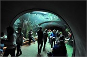 04162011_San Francisco_31